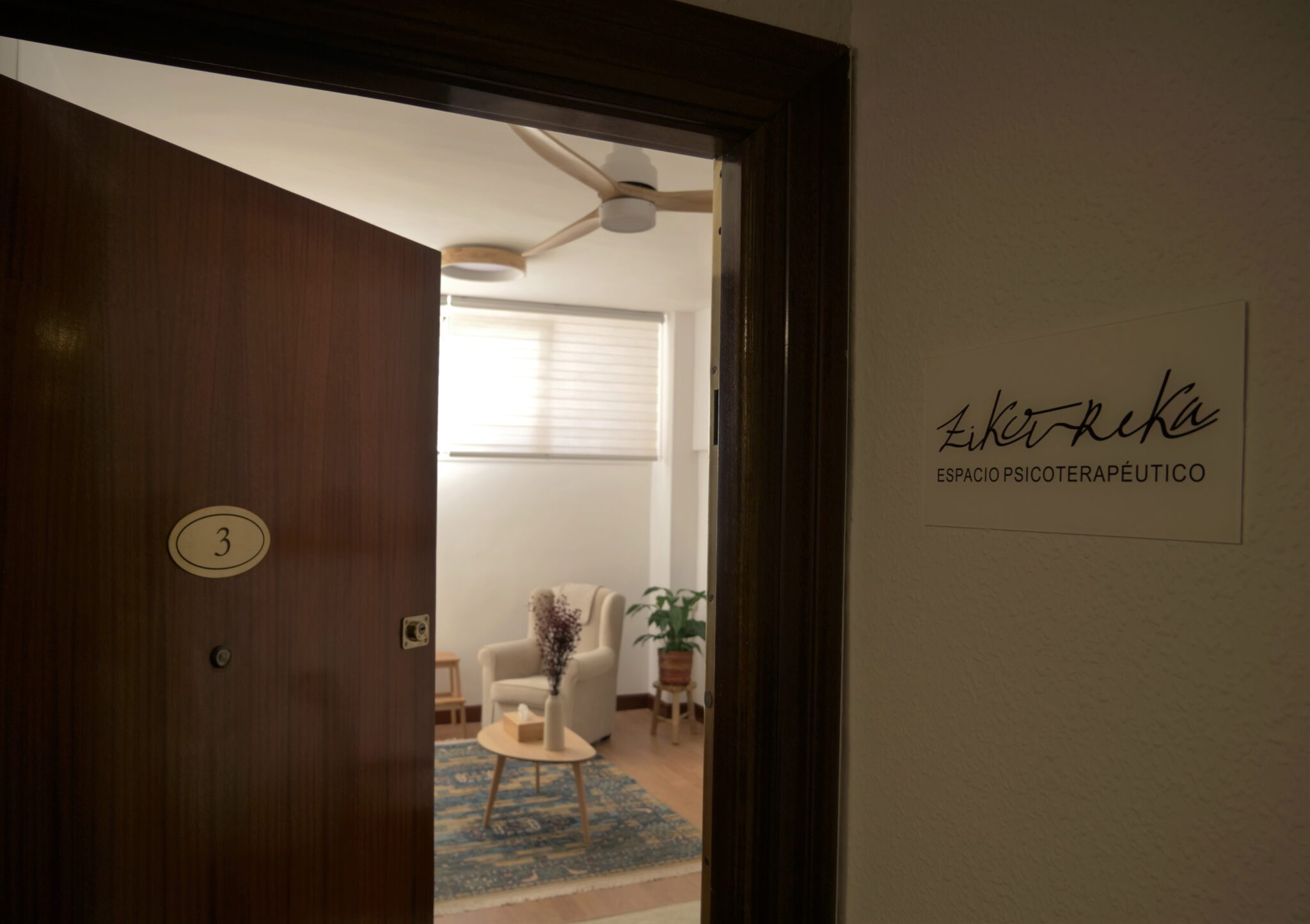 ZIKOUREKA-ESPACIOPSICOTERAPEUTICO_ENTRADA